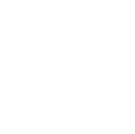 Logo Footer white